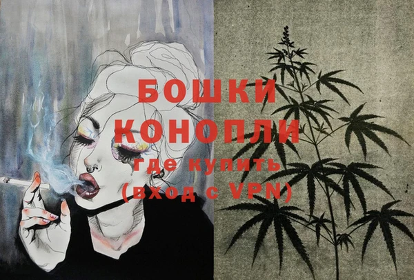 молекула духа Горняк
