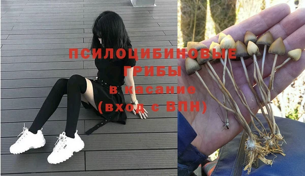 молекула духа Горняк