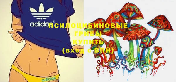 мдма Горнозаводск