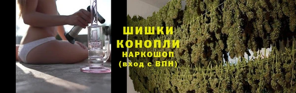 молекула духа Горняк